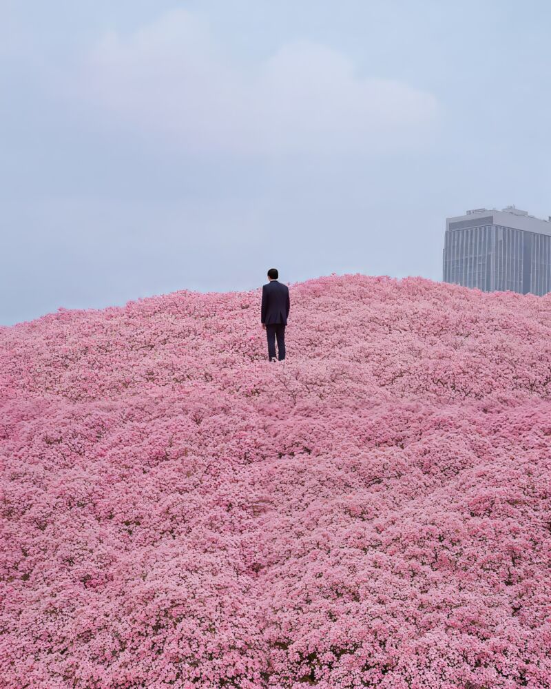 Lonely blossoms