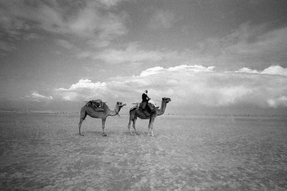 B&eacute;douins dans le Sina&iuml; 1978