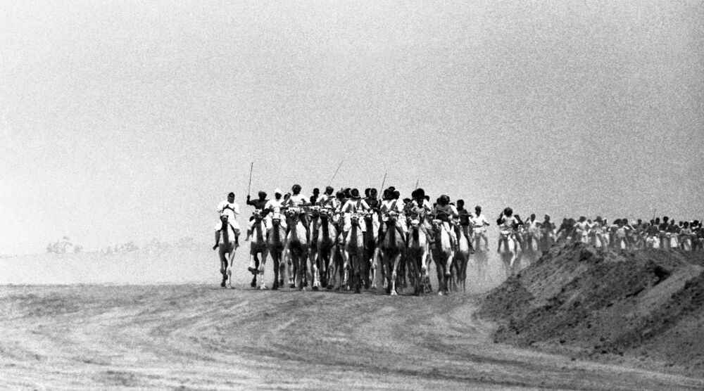 Course de chameaux &agrave; Riyad