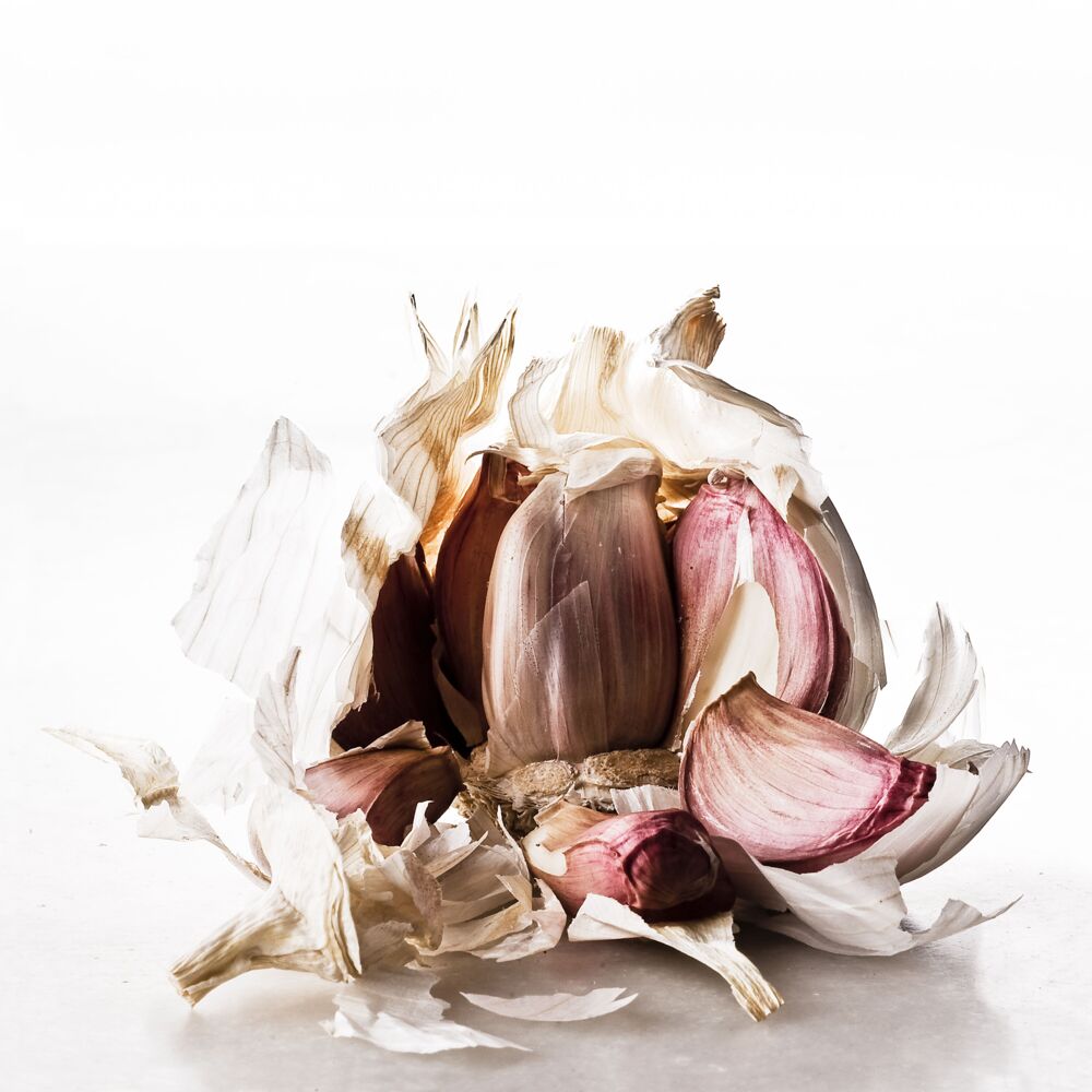 FOOD WASTE GARLIC