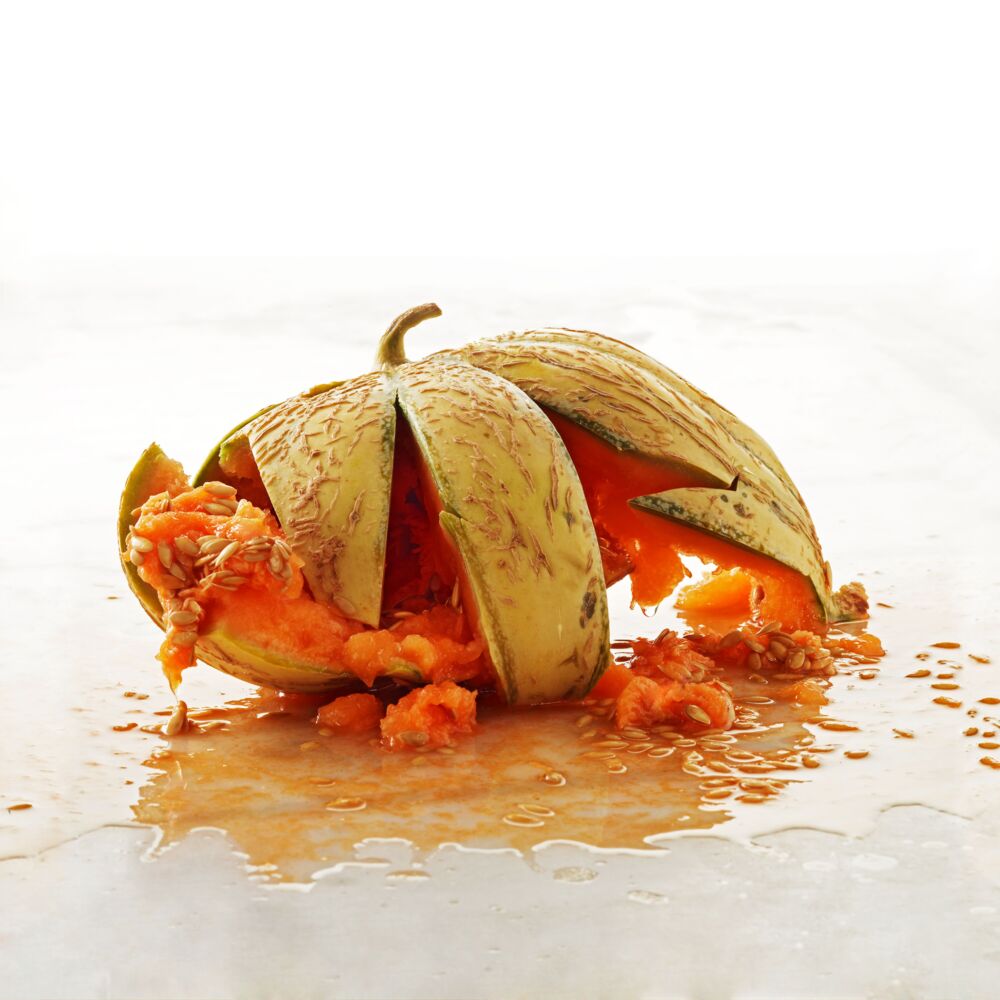 FOOD WASTE WATERMELON