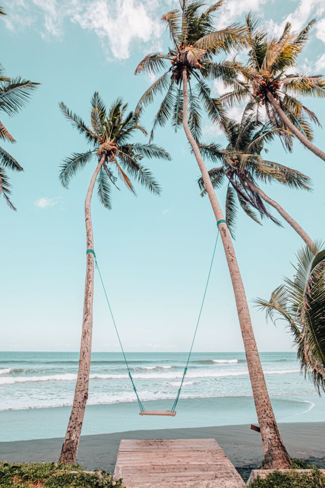 Palm swing