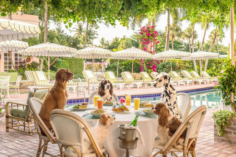 Brunch at Swiftys The Colony hotel