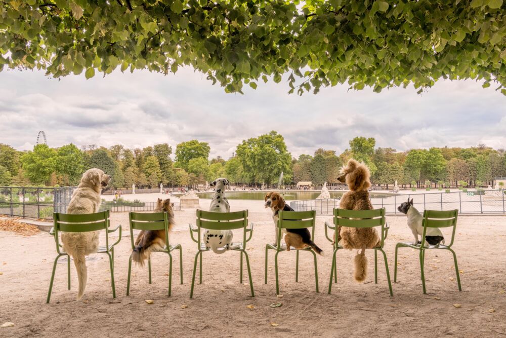 Jardin des Tuileries Paris