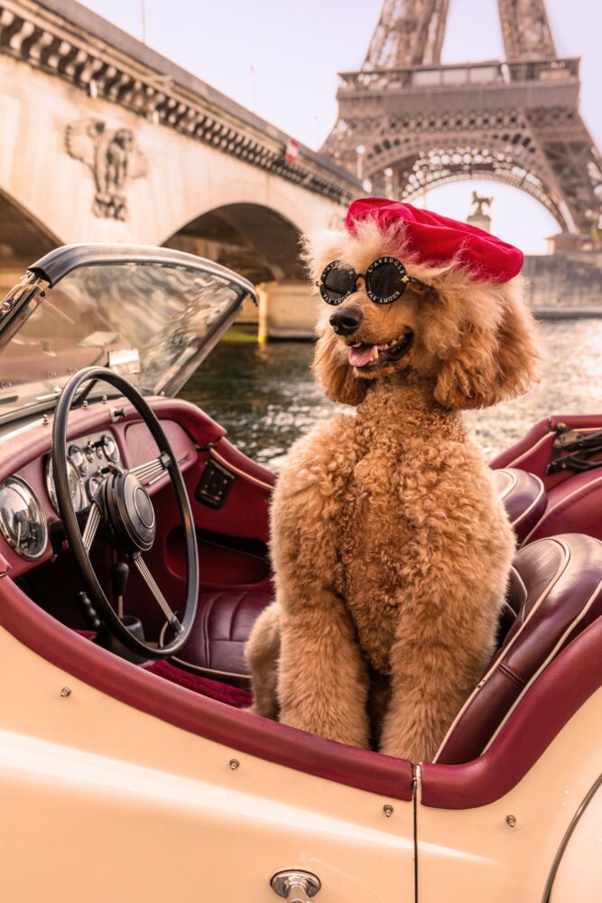 Joy ride Paris