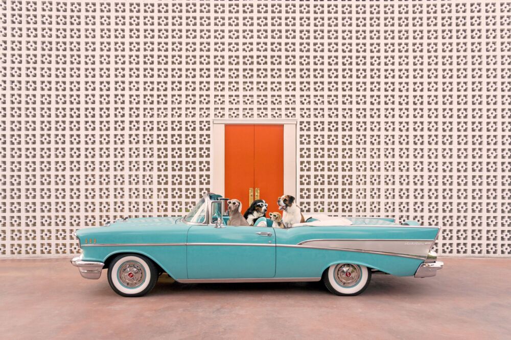 Joy ride Parker Palm Springs