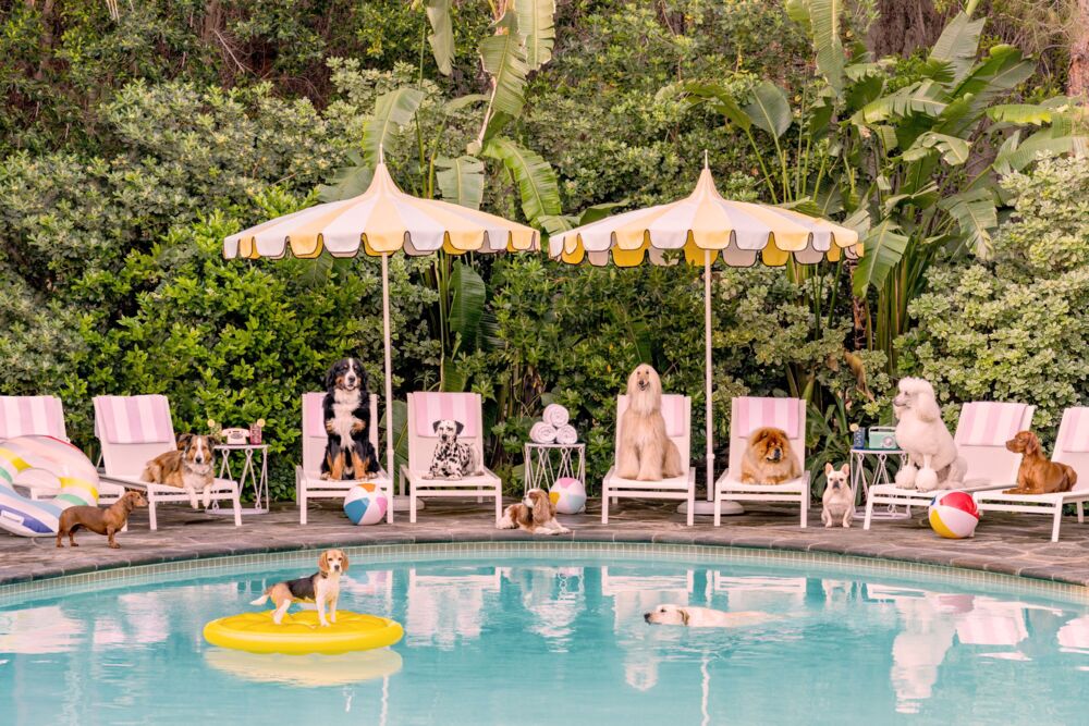 Pool day at the Parker