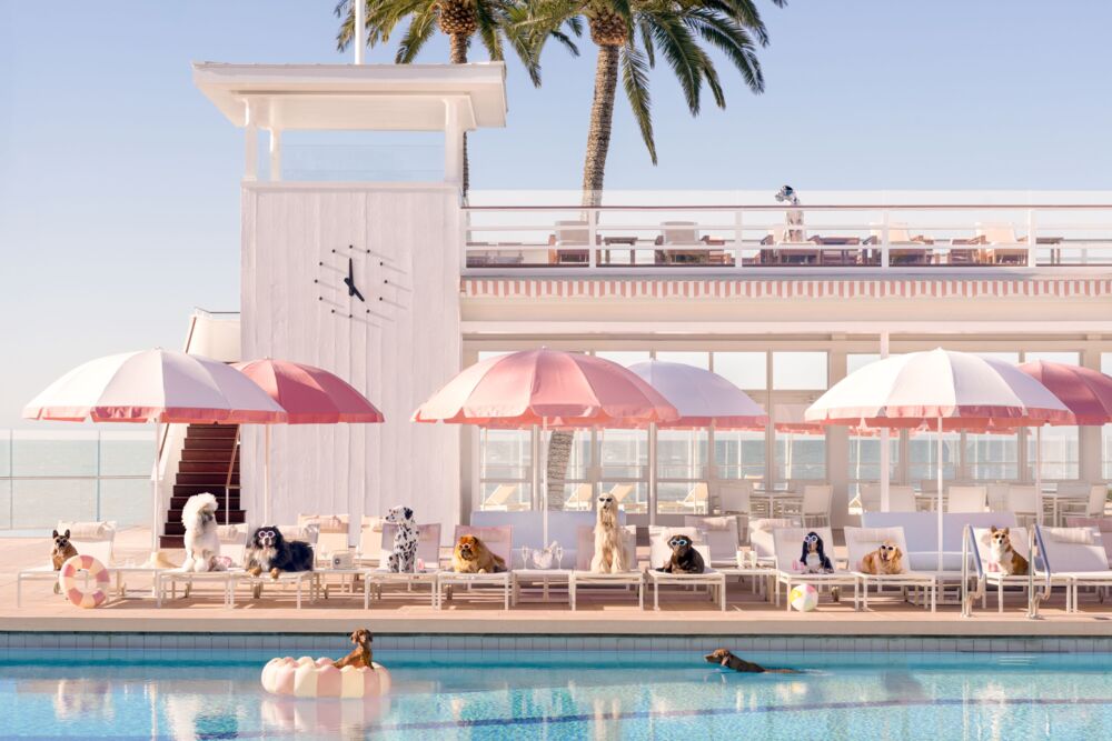 Pool day Coral Casino