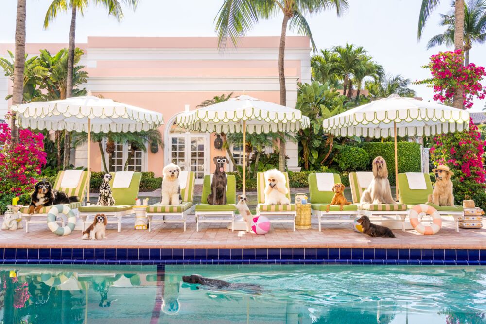 Pool day The Colony hotel
