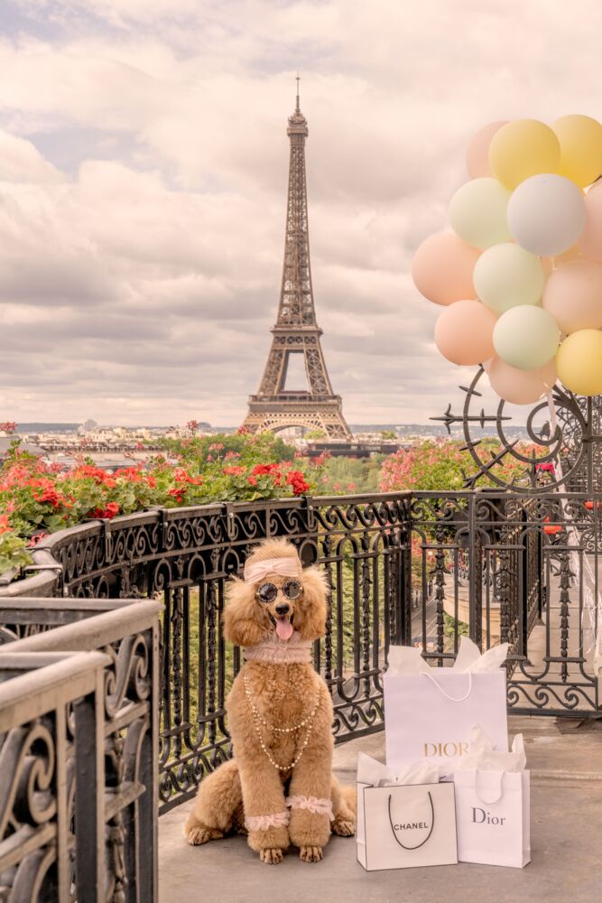 Shopping spree hotel Plaza Athenee