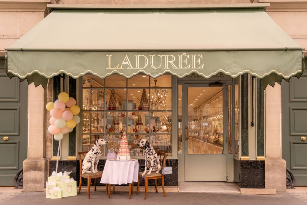Spotted at La Dur&eacute;e Paris