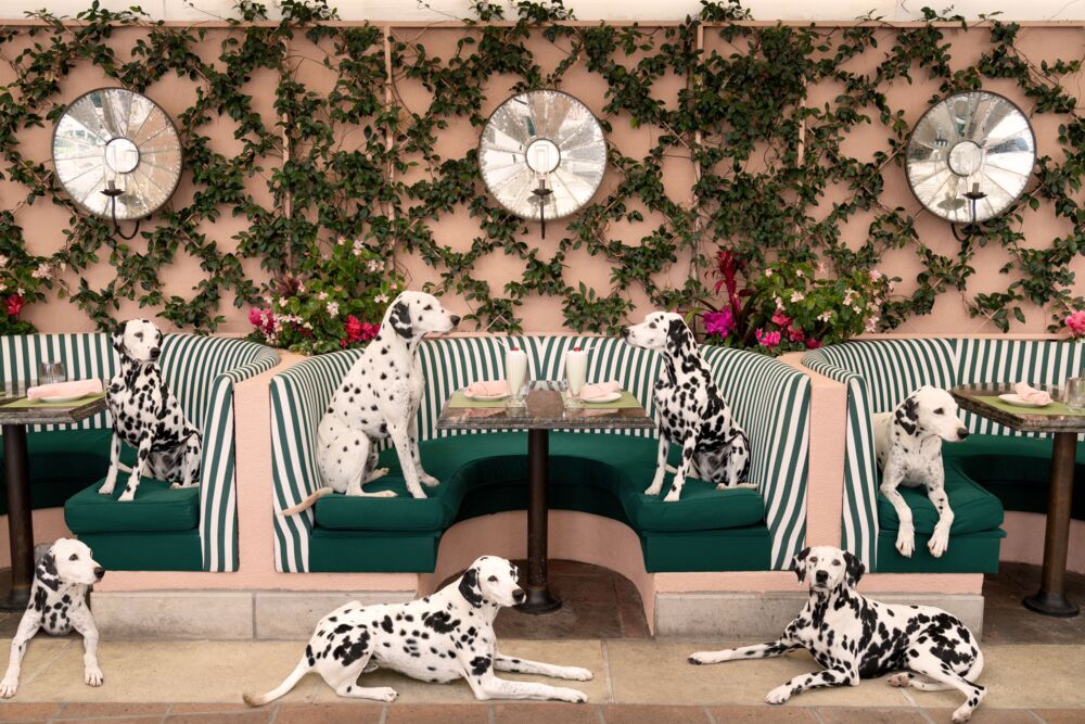 Spotted at the Cabana Cafe the Beverly Hills hotel