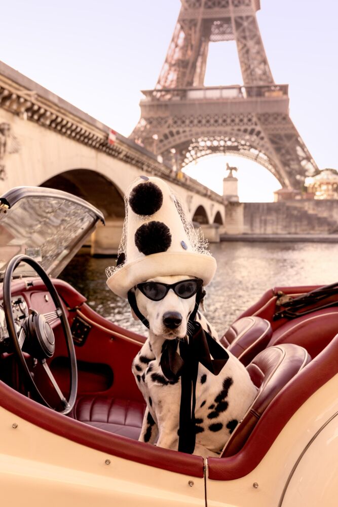 Spotted at the Seine Paris
