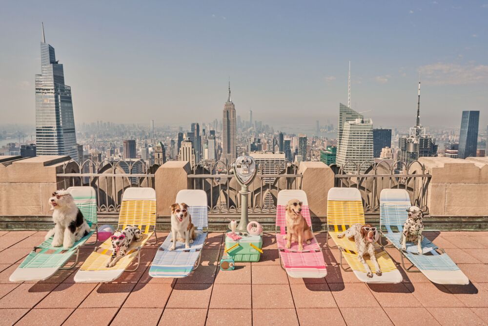 Sunbathers Top of the Rock