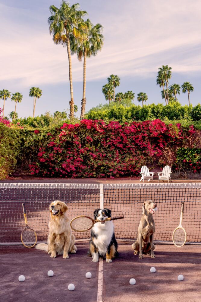 Tennis match Parker Palm Springs
