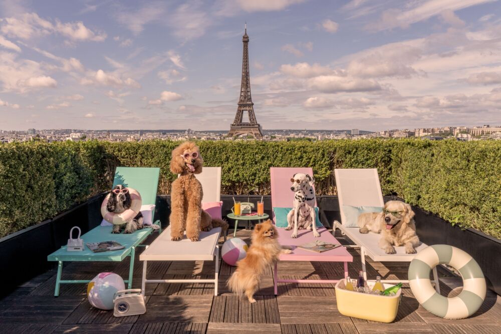 Terrasse sunbathers hotel Plaza Athenee