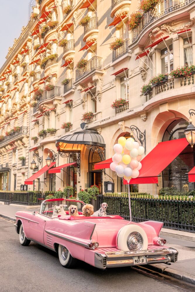 The arrival hotel Plaza Athenee