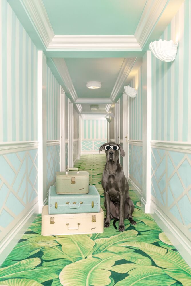 The blue hallway The Colony hotel