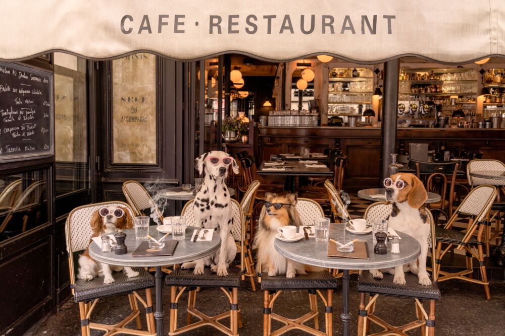 The Cafe Paris