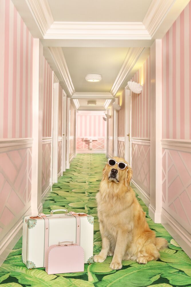 The pink hallway The Colony Hotel