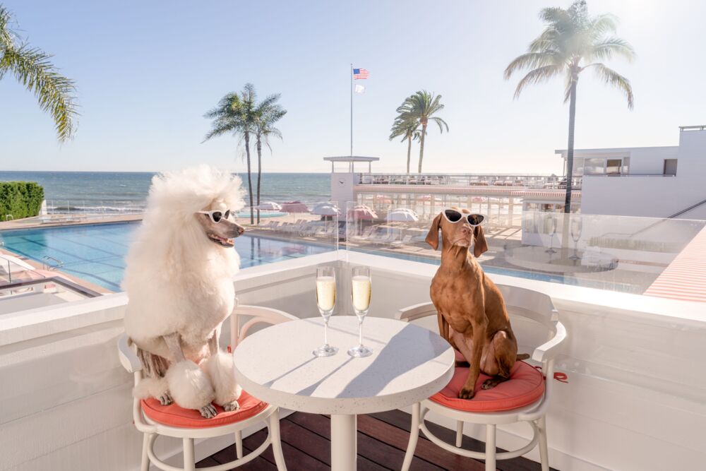 The Ty Warner Cabana Coral Casino