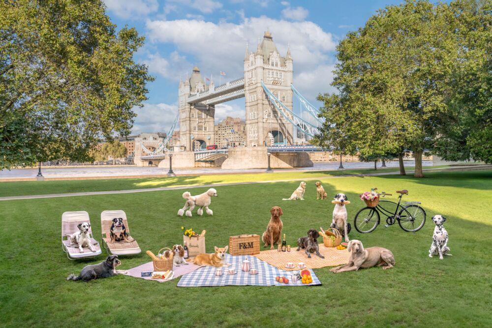 Tower Bridge picnic London