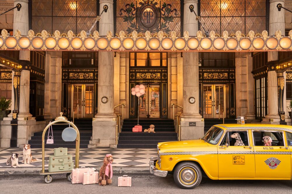 Welcome to the Plaza hotel