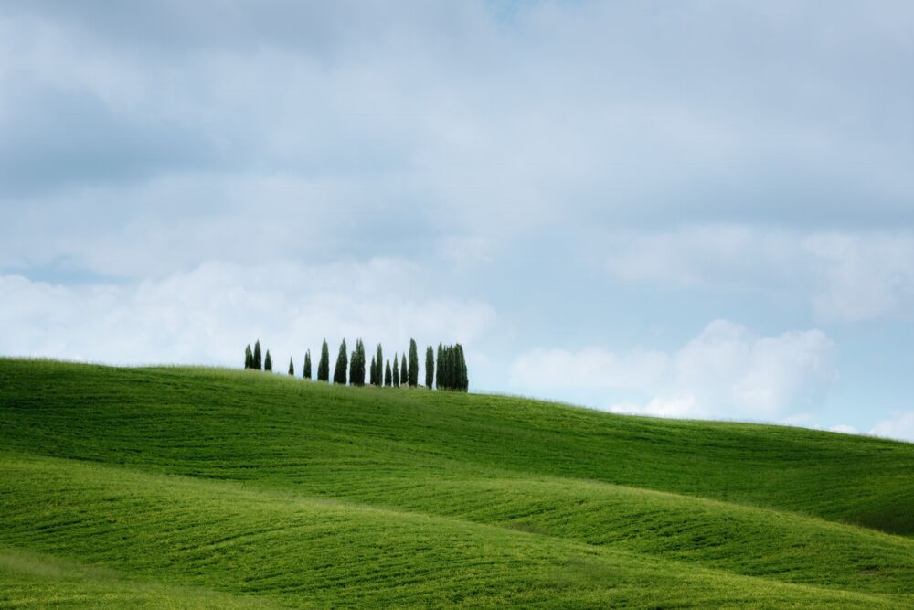 Cypress horizon
