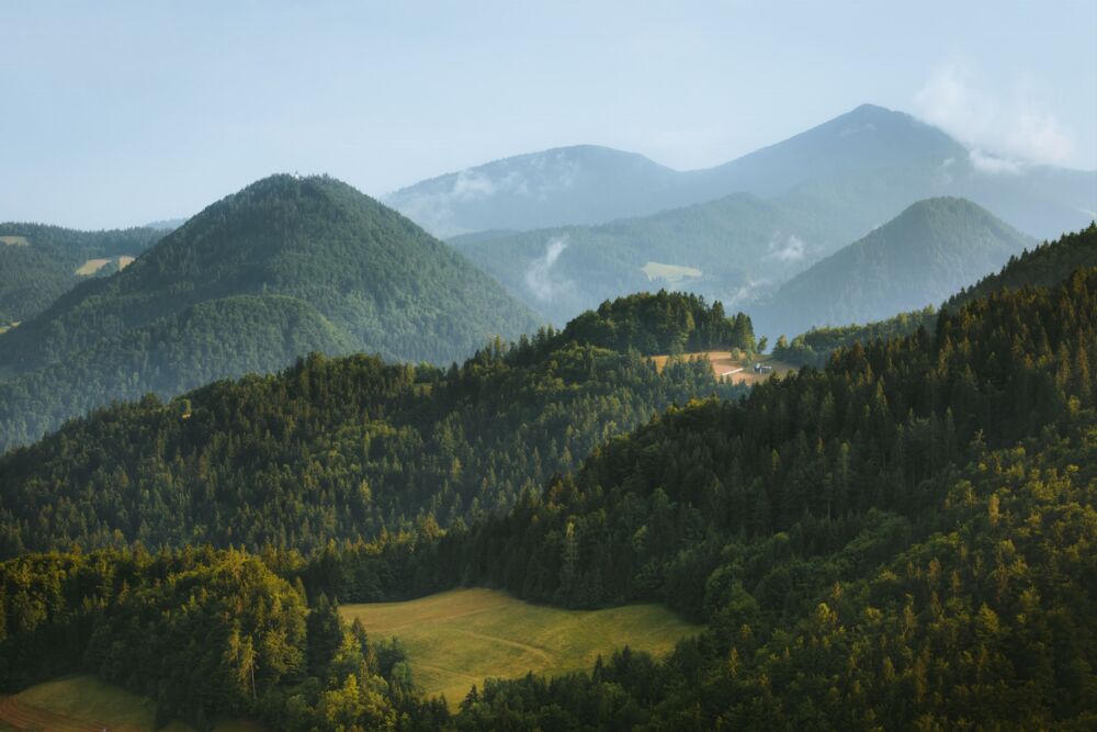 Emerald horizons
