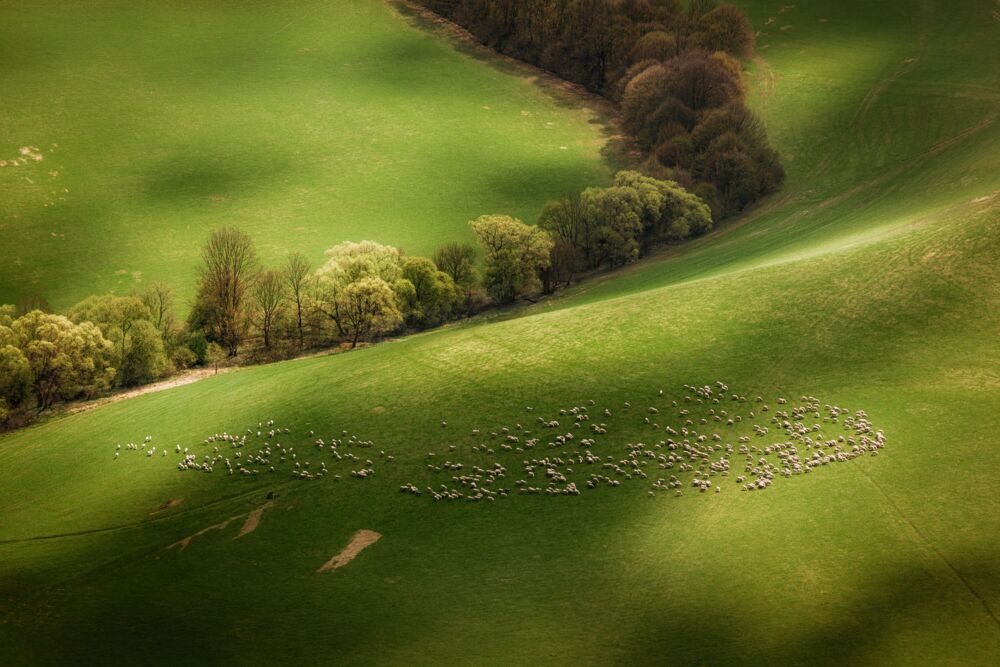Living patterns