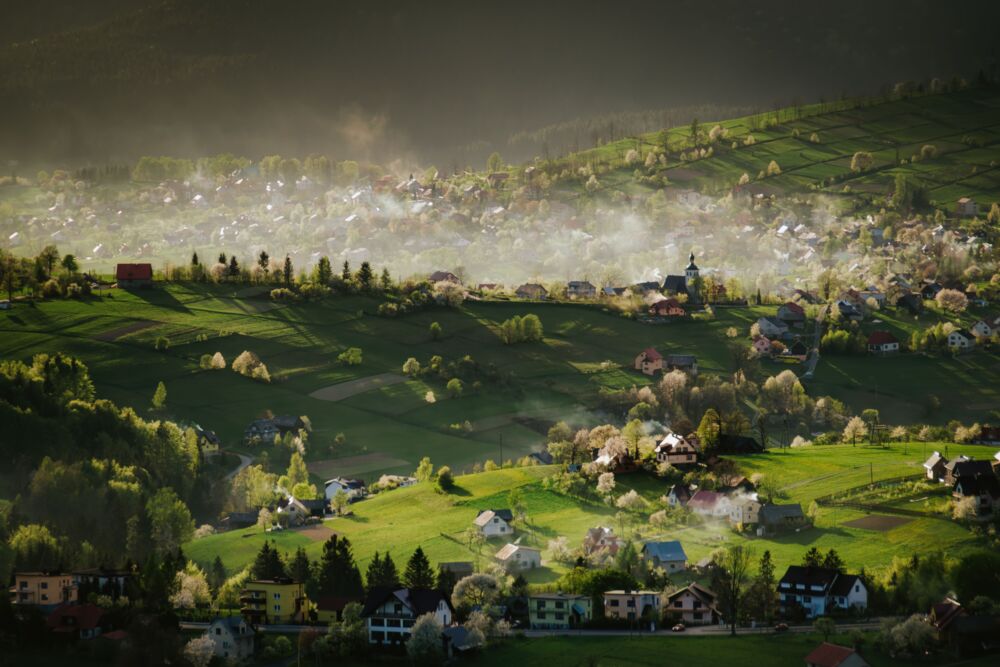 Whispers of spring