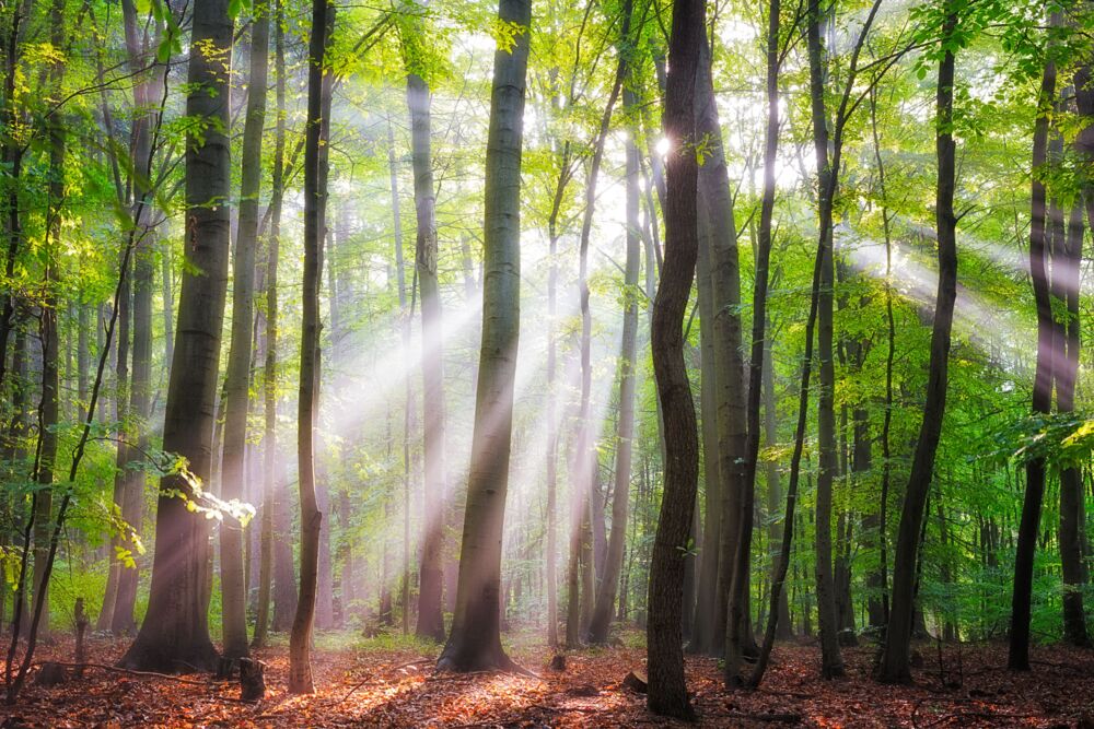 WHEN THE SUN SHINES ON YOUR WAY