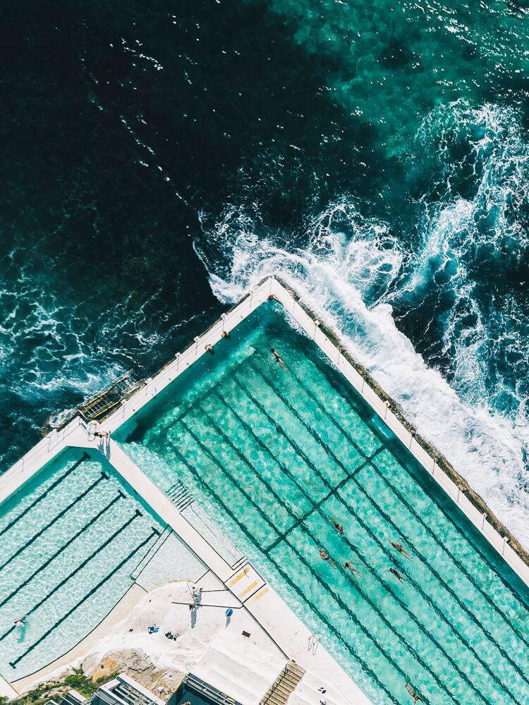 Bondi Icebergs