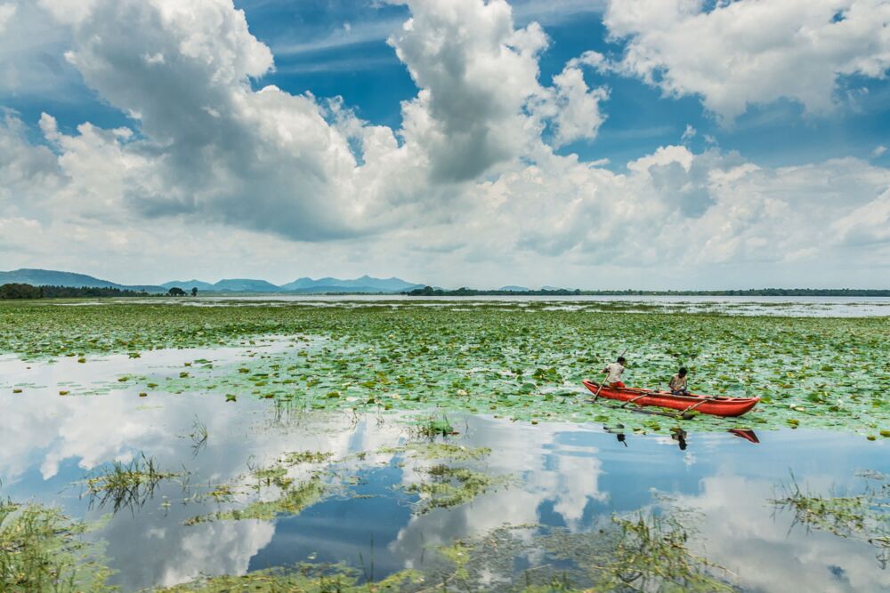 PIROGUE ROUGE