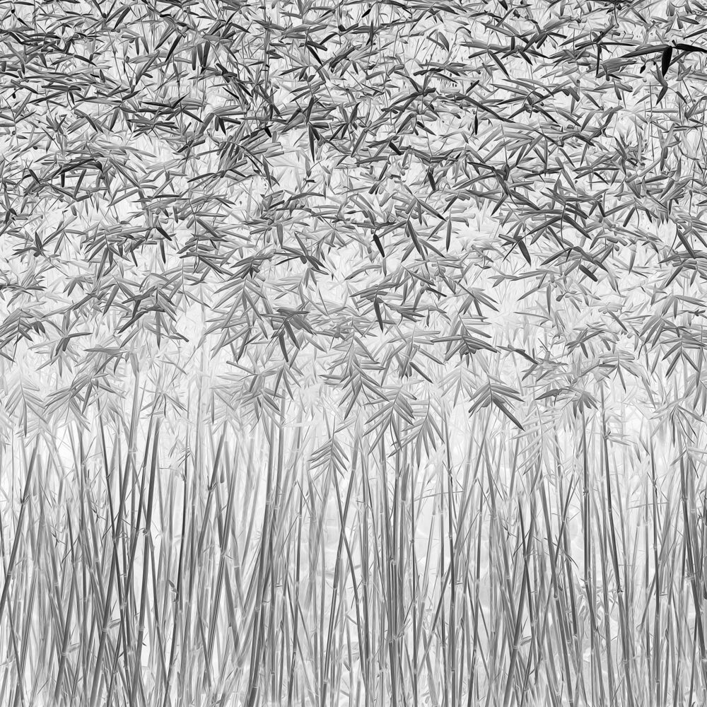 PARALLELISM