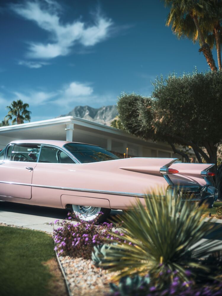 Palm springs pink