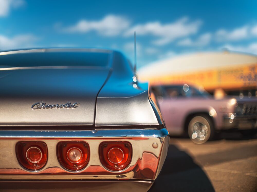 Silver impala