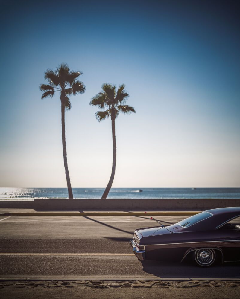 Twin palm impala