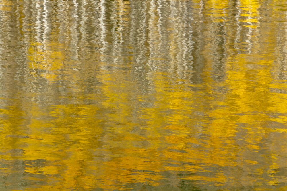 AUTUMN REFLECTIONS IN MOUNTAIN LAKE III