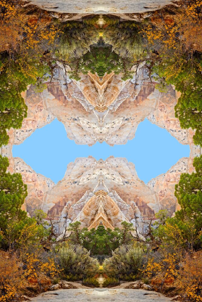Surprise canyon