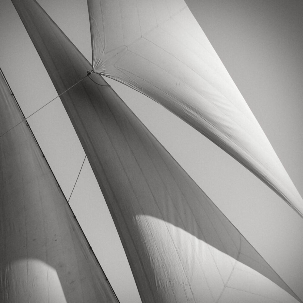 Toutes voiles dehors