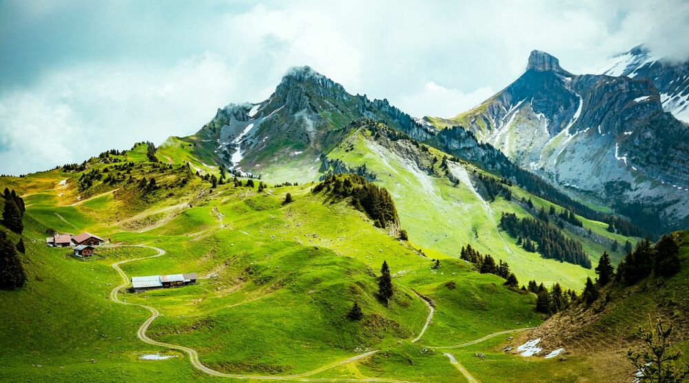 SCHYNIGE PLATTE