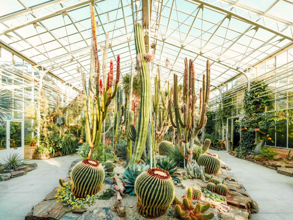 Botanical garden Munich 1