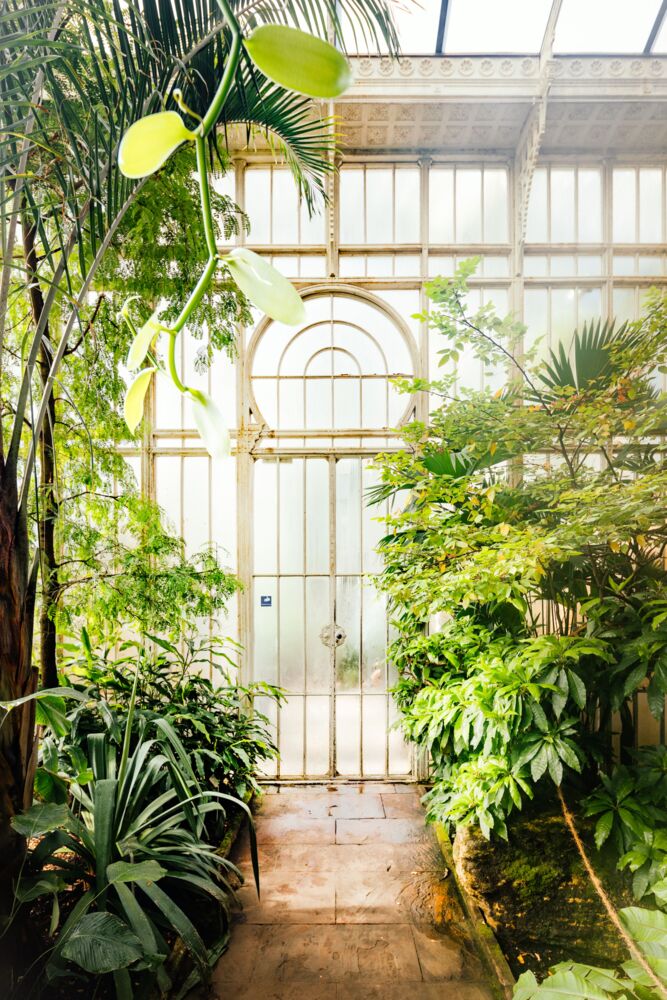Botanical gardens 1