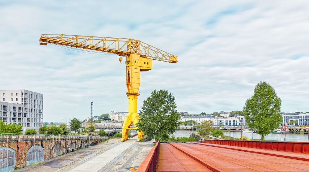 LA GRUE TITAN JAUNE