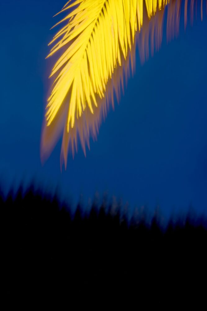 Nature study 12