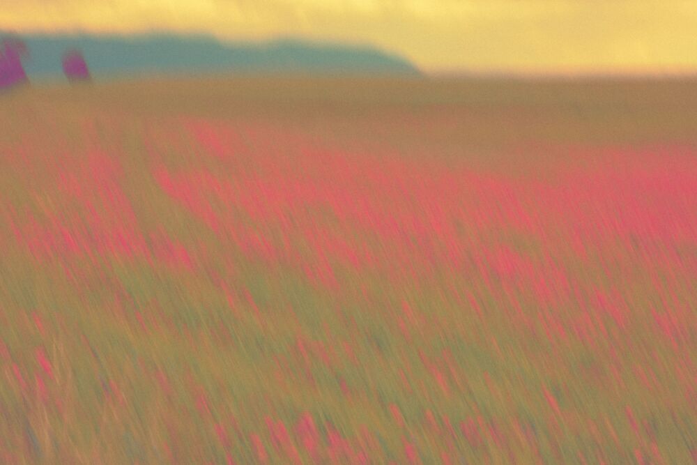 Pastoral 3
