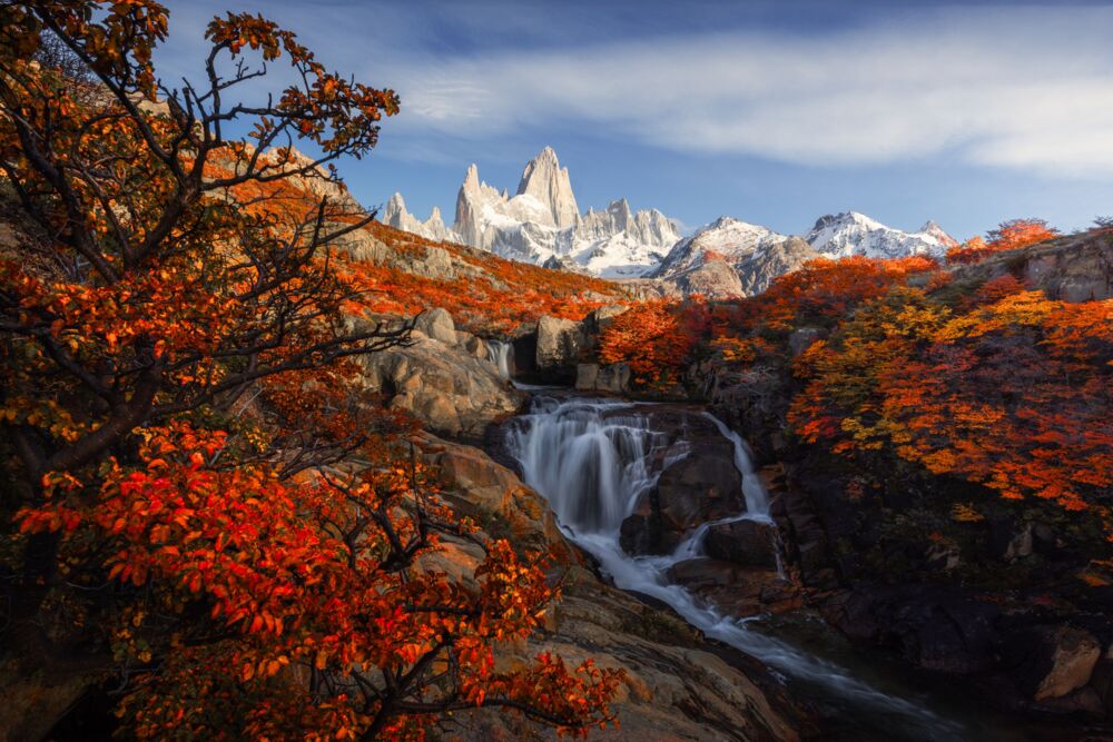 Autumn