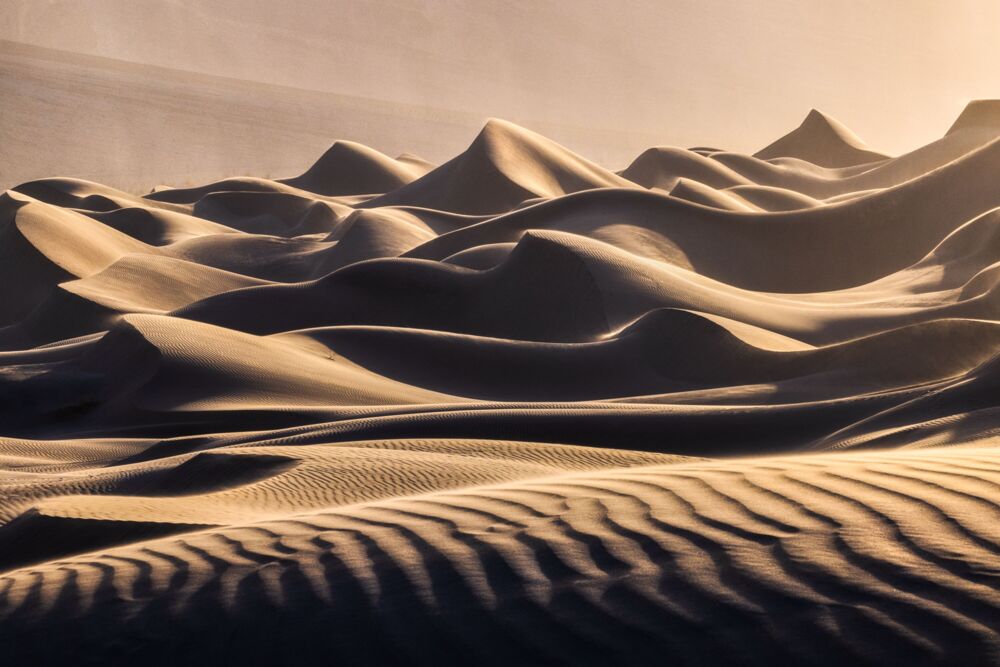 Golden dunes