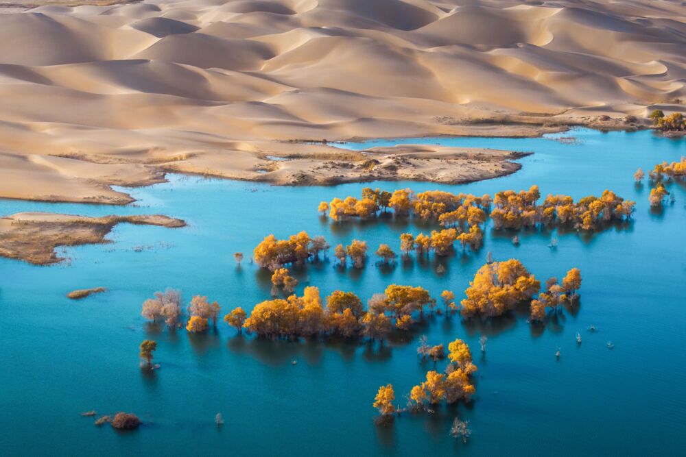 Nature symphony